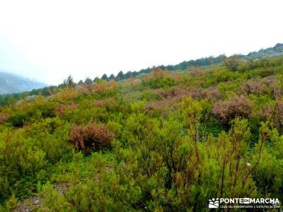 Ascenso al pico Ocejón [Serie Clásica]excursiones culturales viajes organizados fin de semana sing